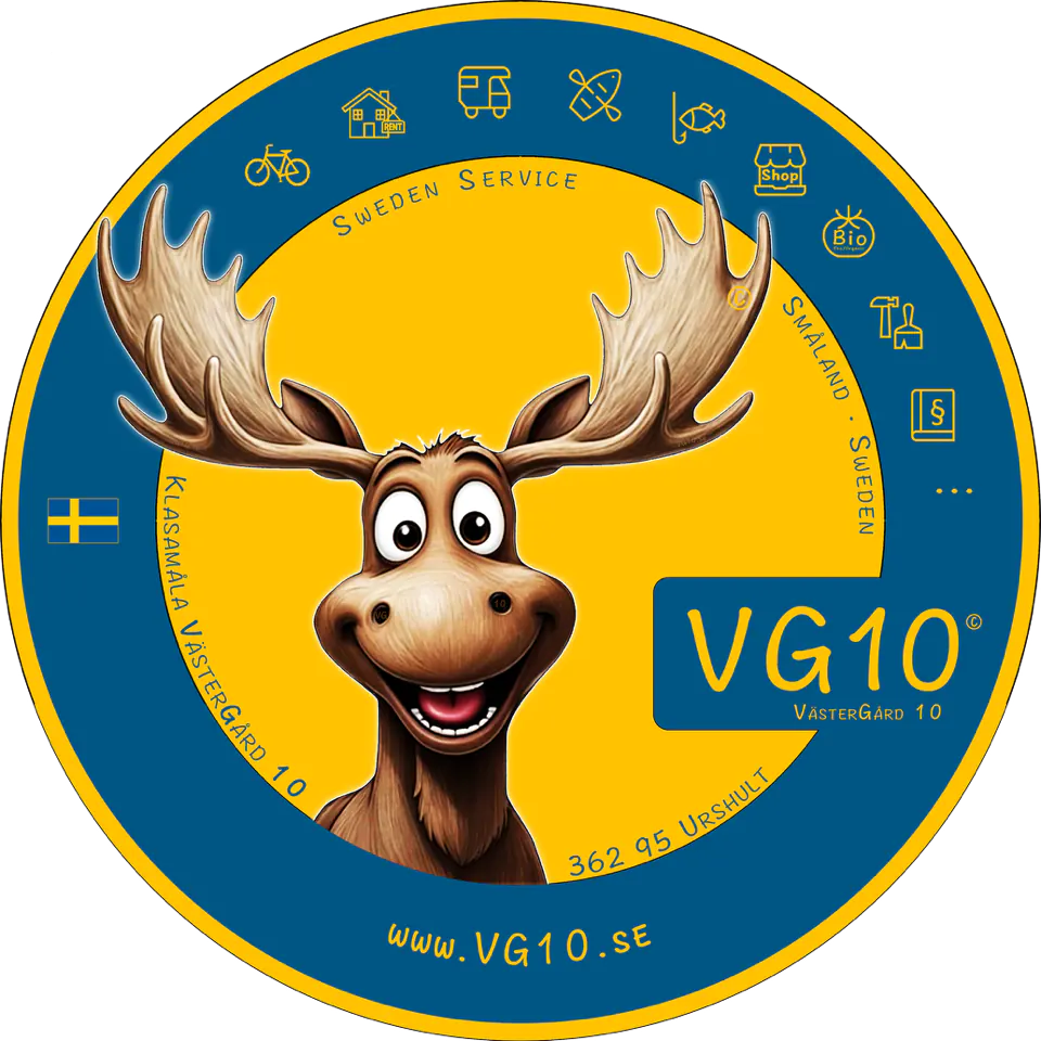 Logo vg10®<